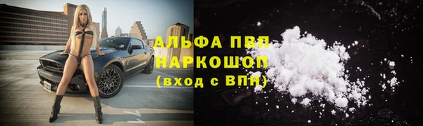 спиды Михайловск