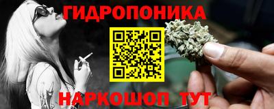 прущие грибы Сланцы