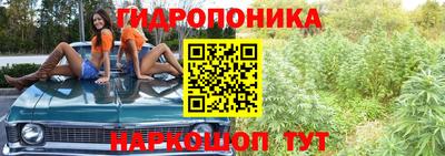 ECSTASY Свободный