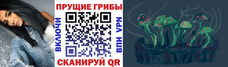 Галлюциногенные грибы Psilocybe  Советск 