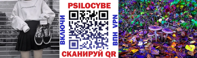 Галлюциногенные грибы MAGIC MUSHROOMS Советск