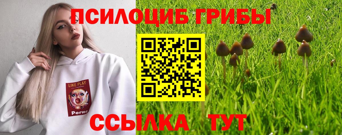 Псилоцибиновые грибы прущие грибы Советск