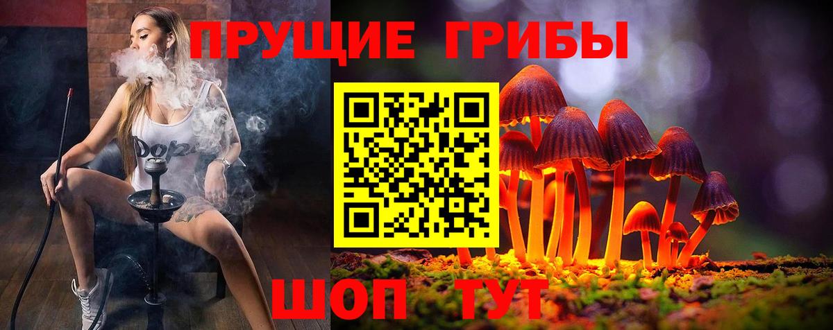 Советск  Псилоцибиновые грибы ЛСД  Вход с VPN 